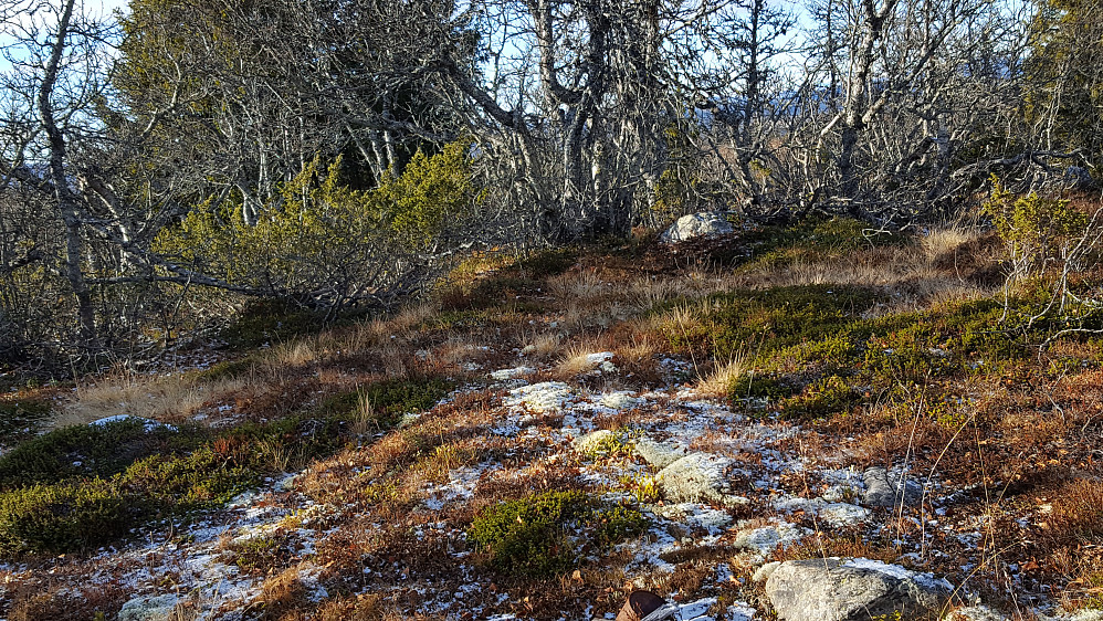 På Værskeitoppen