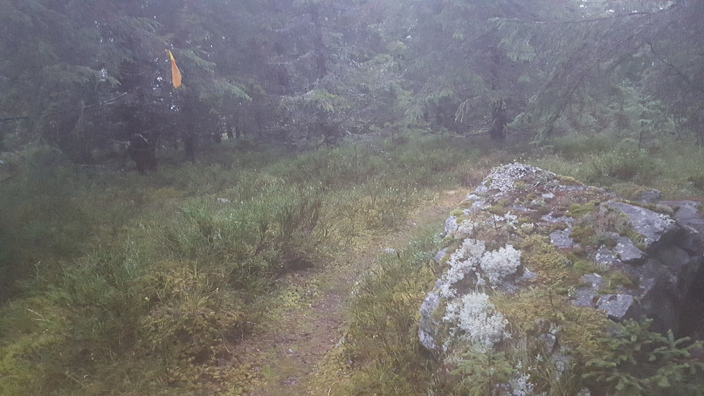  På Kanthaugen