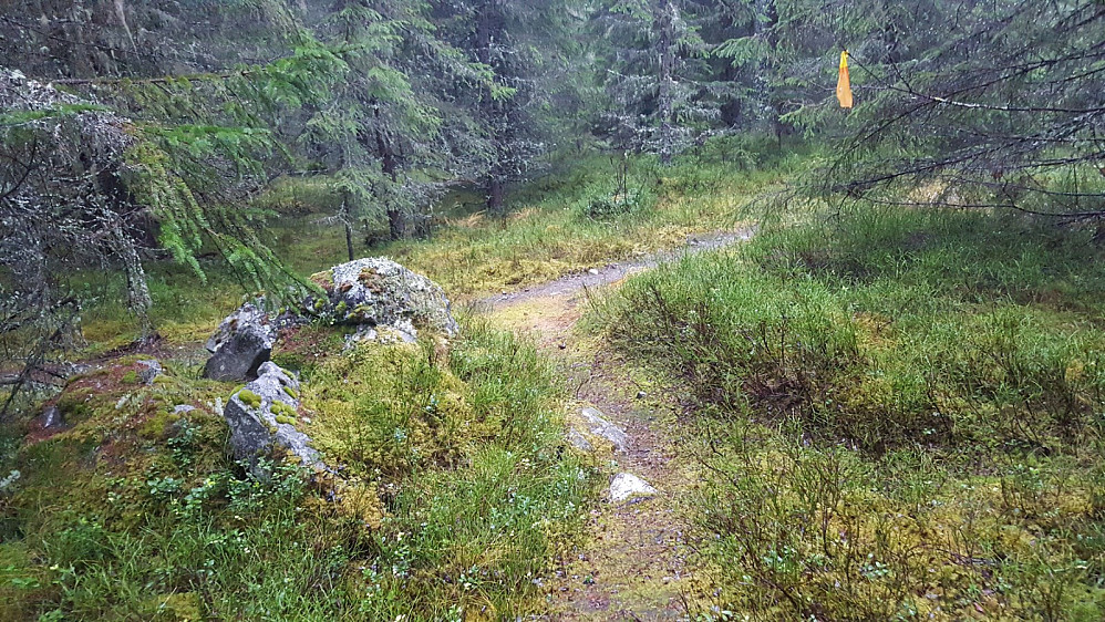 På Kanthaugen