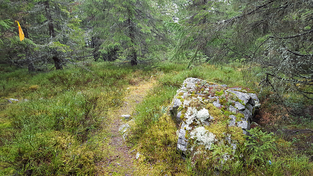 På Kanthaugen