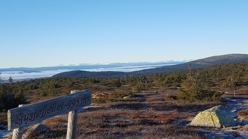 På Sjusjøfjellet 
