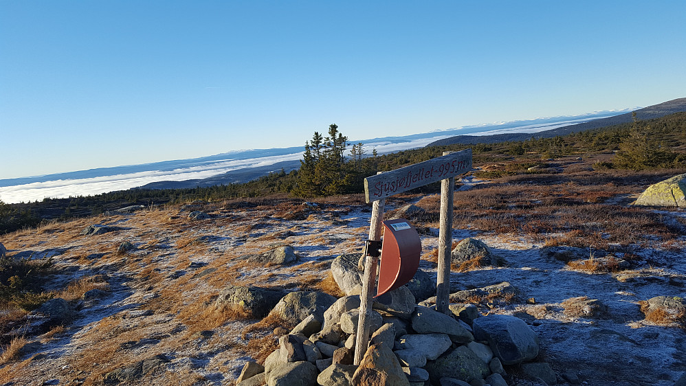 På Sjusjøfjellet 