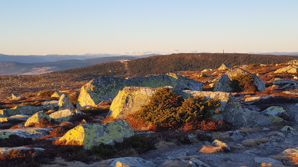 På Slåsæterfjellet