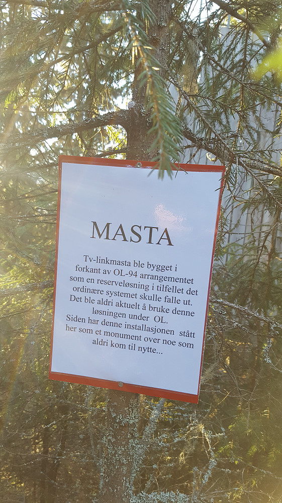 INFO om masta