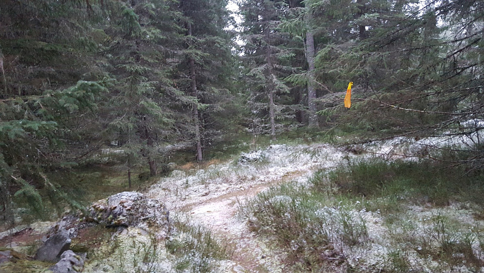 På Kanthaugen