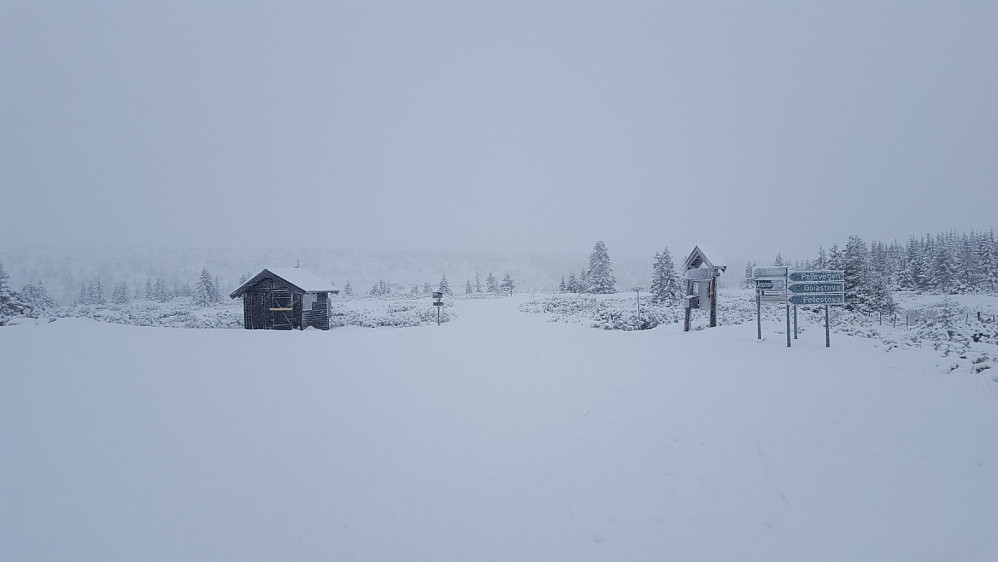 Ved Reinakrysset