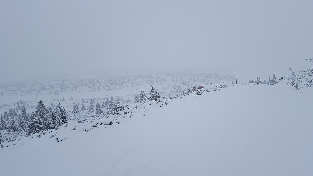 Akkurat snudd ved Reinakrysset