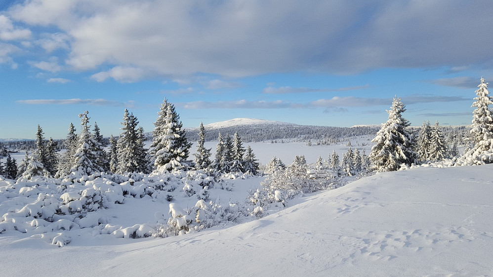 Mot Nevelfjell og Hafjell