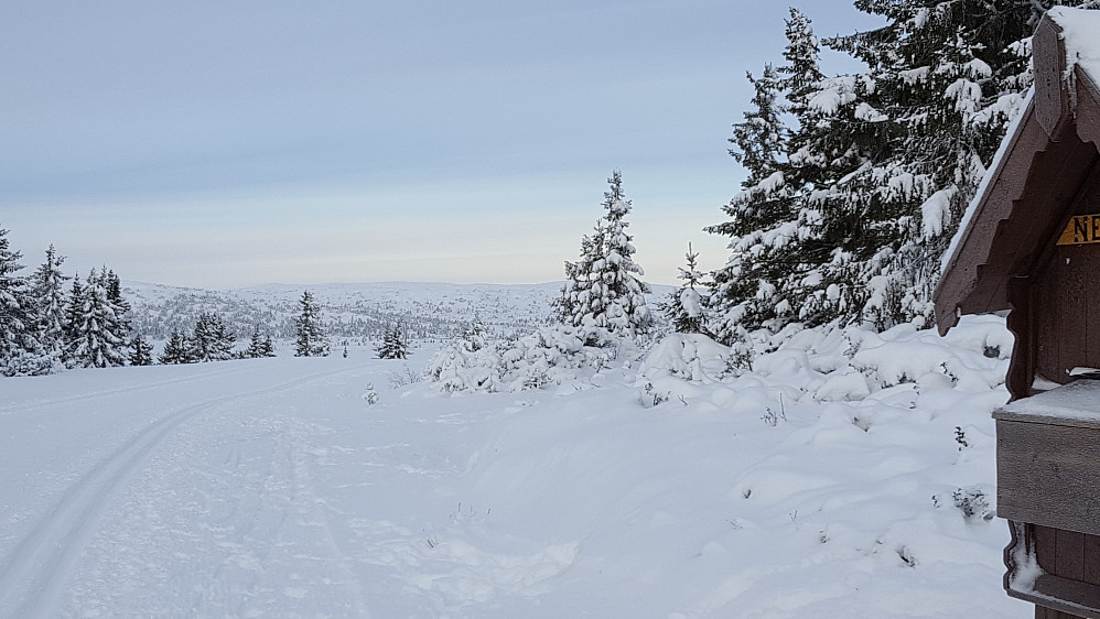 Innover fra Nevelåsen