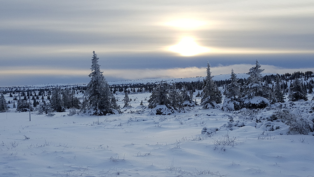 Ved Mellsjøen