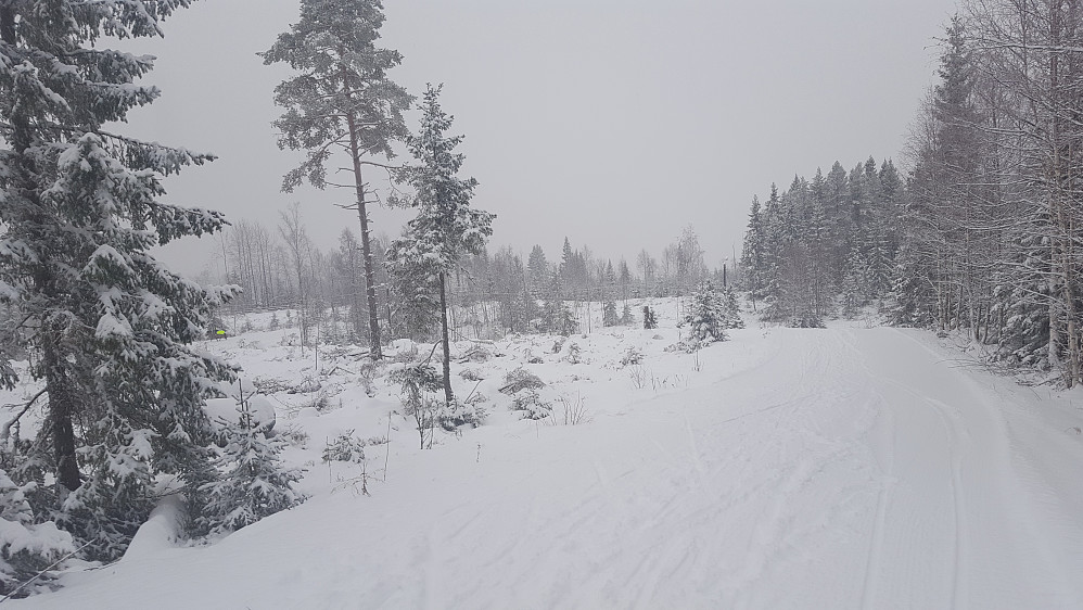 Litt lengre nede på Kanthaugen
