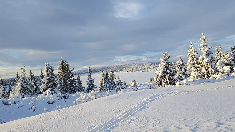 Innover, ser over Nevelvatnet mot Nevelfjell