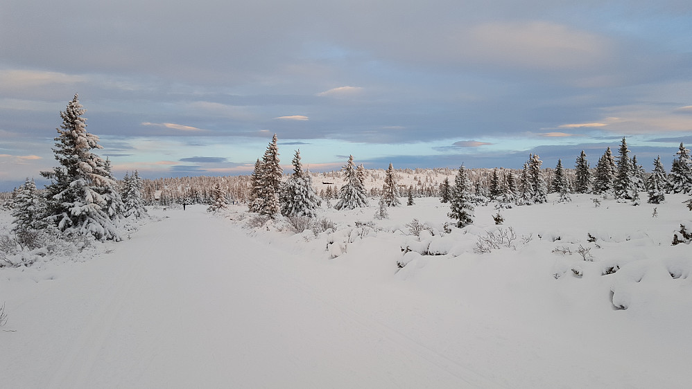 Mot Løvisåsen