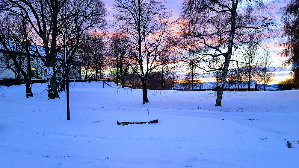 Framme på Hoel