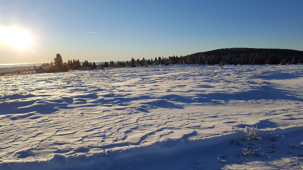 På Nordseter, mot Grøtåshaugen