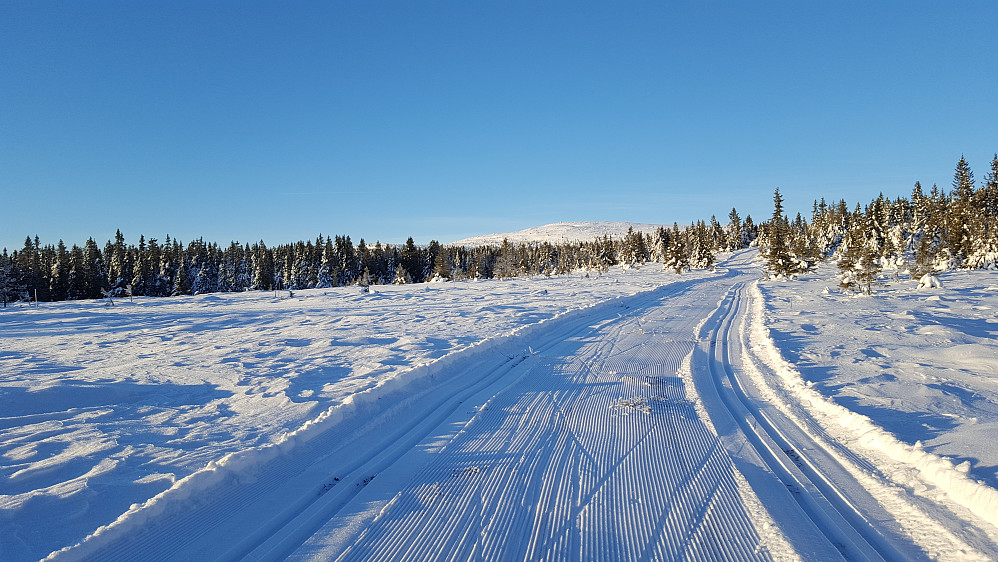 Mot Nevelfjell