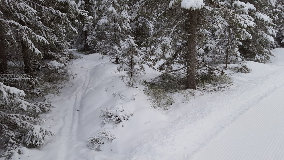 På Kanthaugen