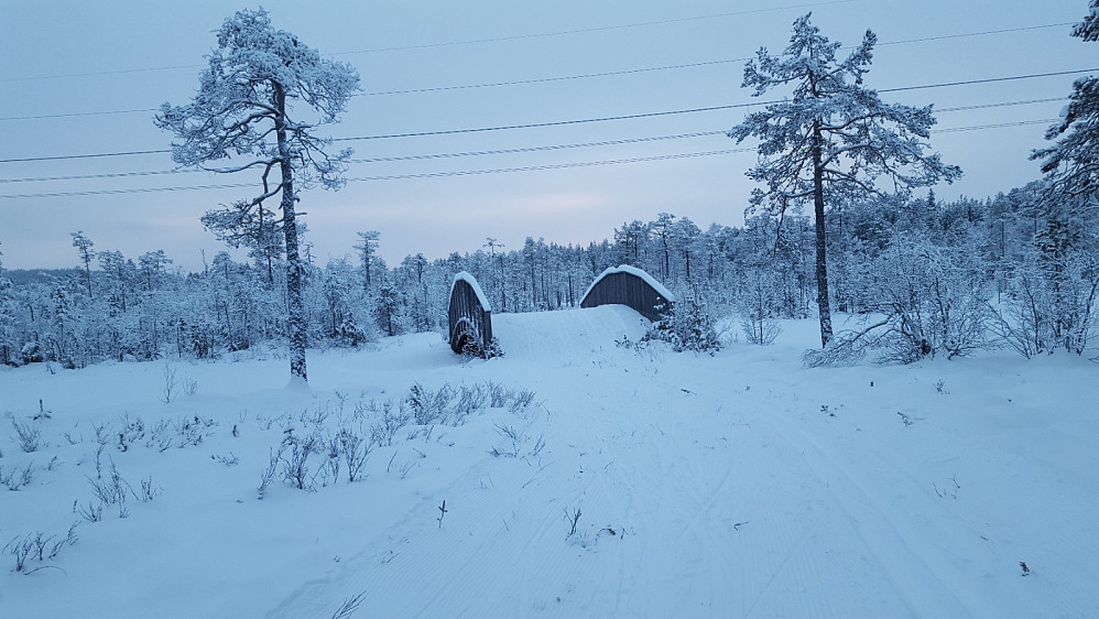 Ved Kubrua
