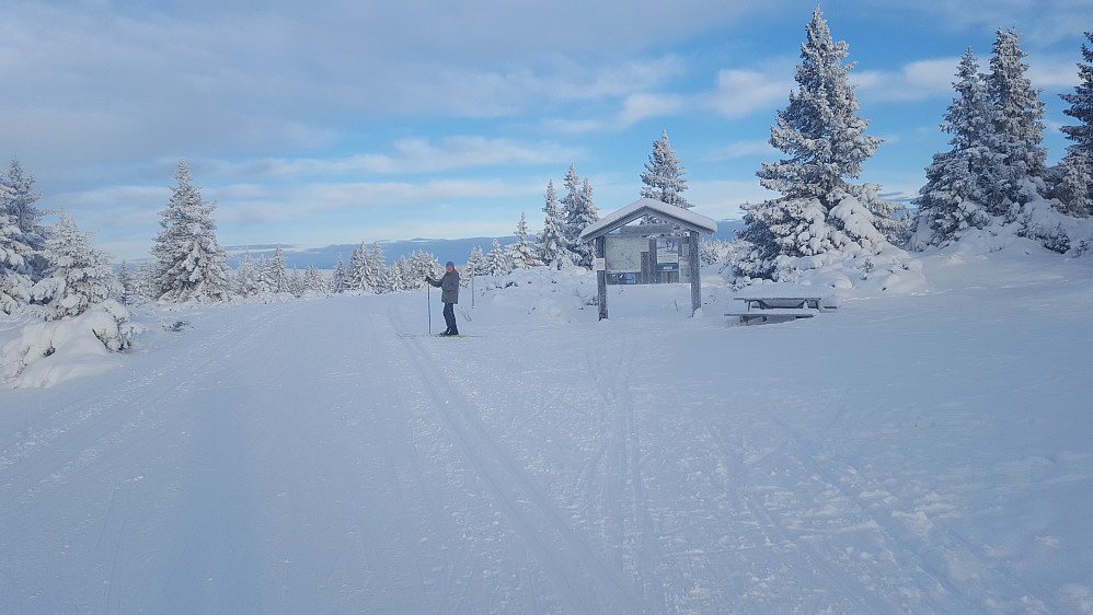 Kommet opp bakkene fra Nordseter