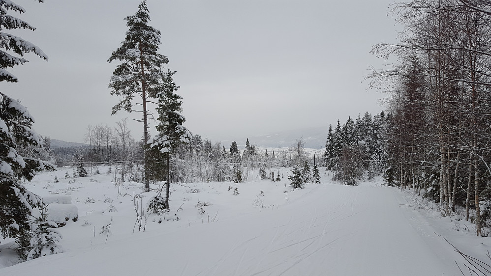 Ned fra Kanthaugen
