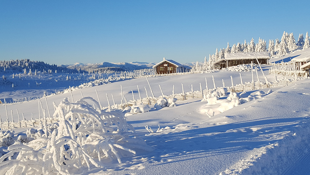 Strålende på Nysetra