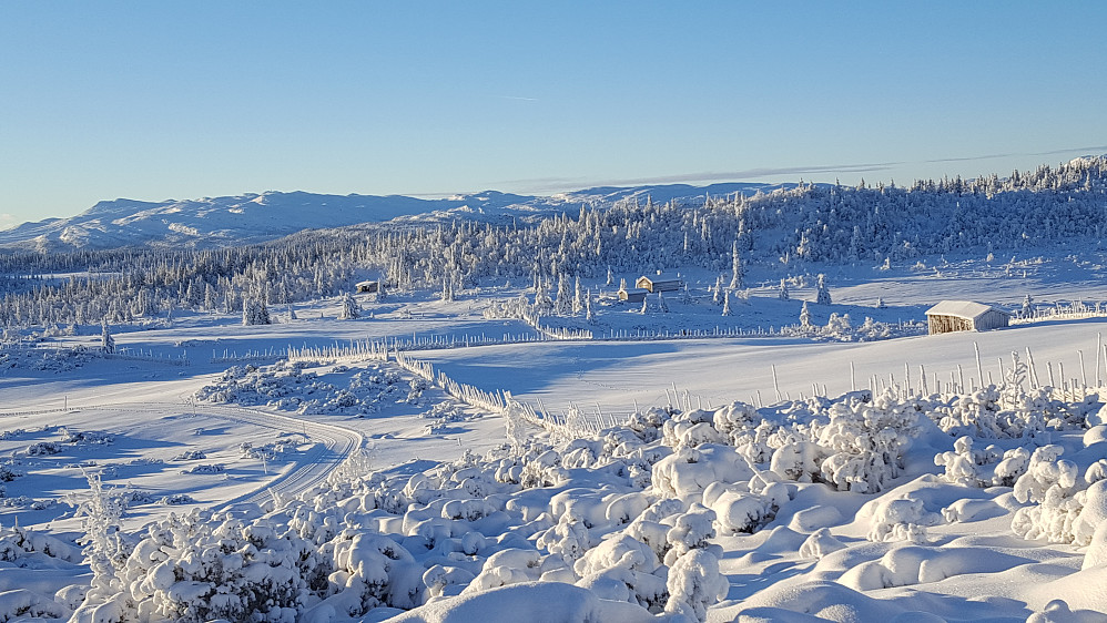 Strålende på Nysetra