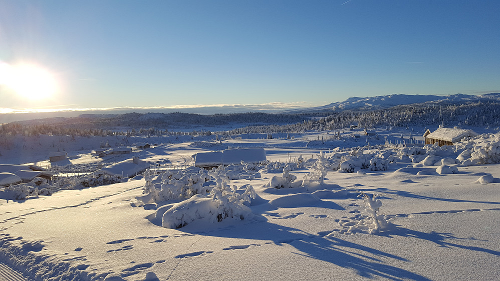 Strålende på Nysetra