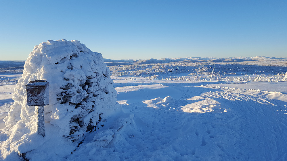 Strålende på Hærfjellet
