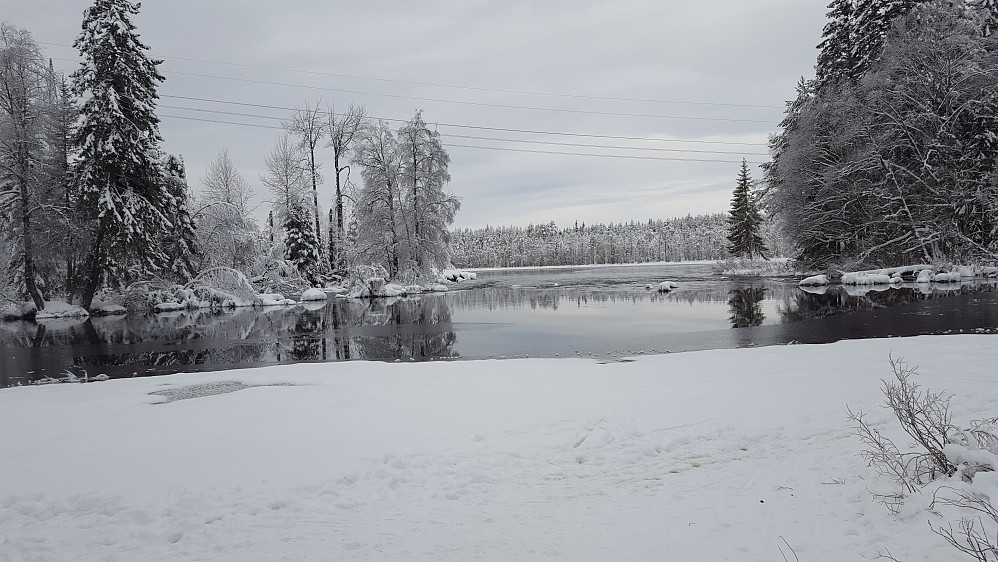 Ved Mesnaelva