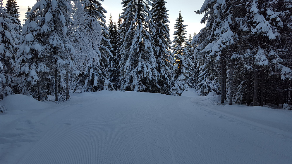 På Kanthaugen