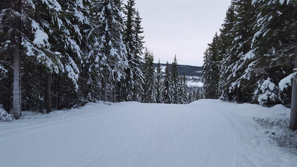 På Kanthaugen