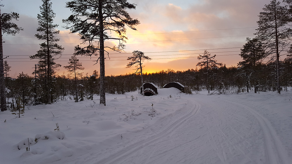 Ved Kubrua