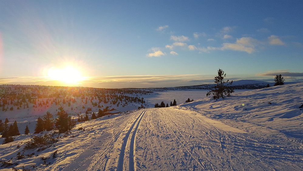 På Reinakrysset