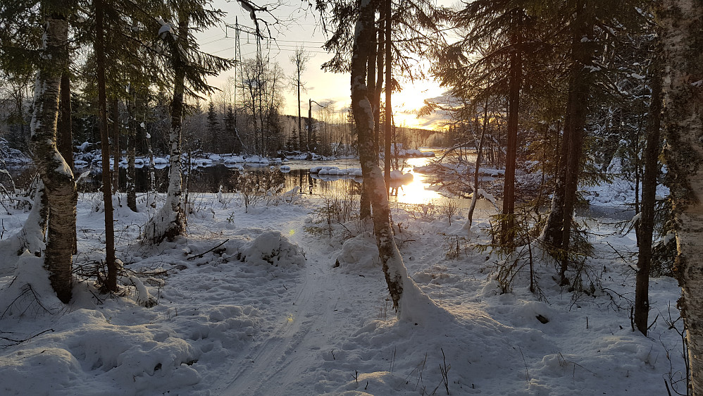 Ved Mesnaelva