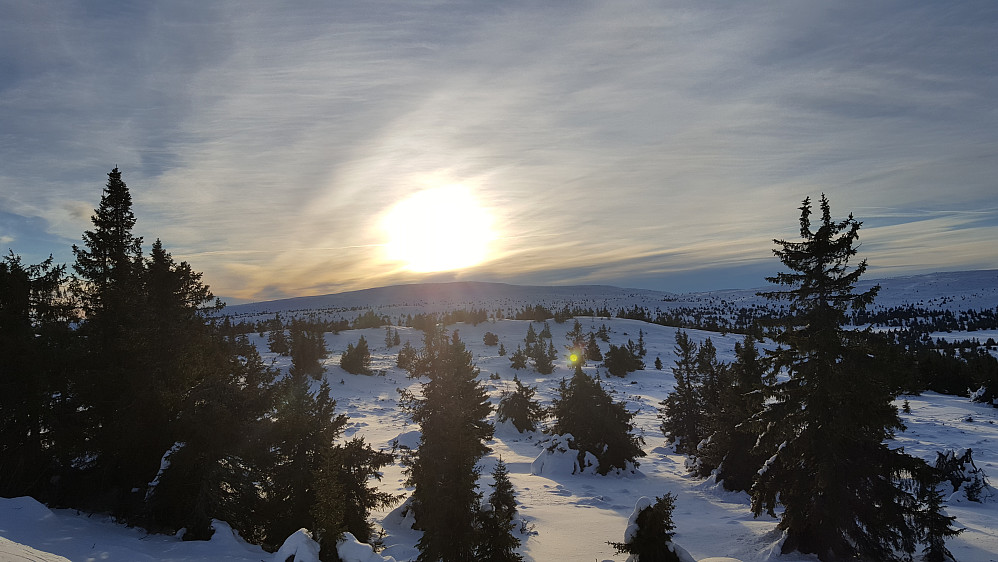 Sol over Nevelfjell, fra Pellevegen