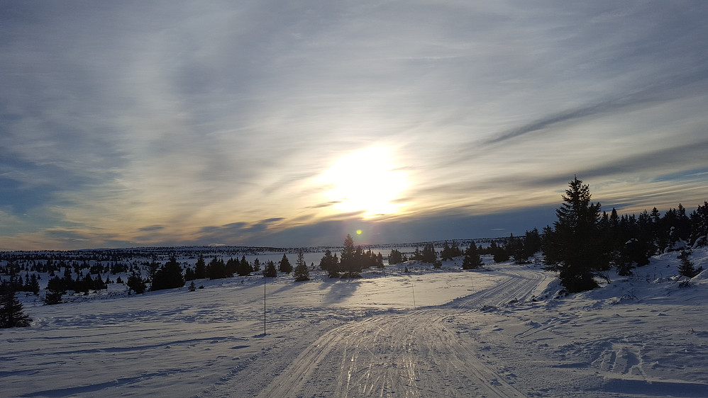 Nettopp startet innover mot Hitdalen