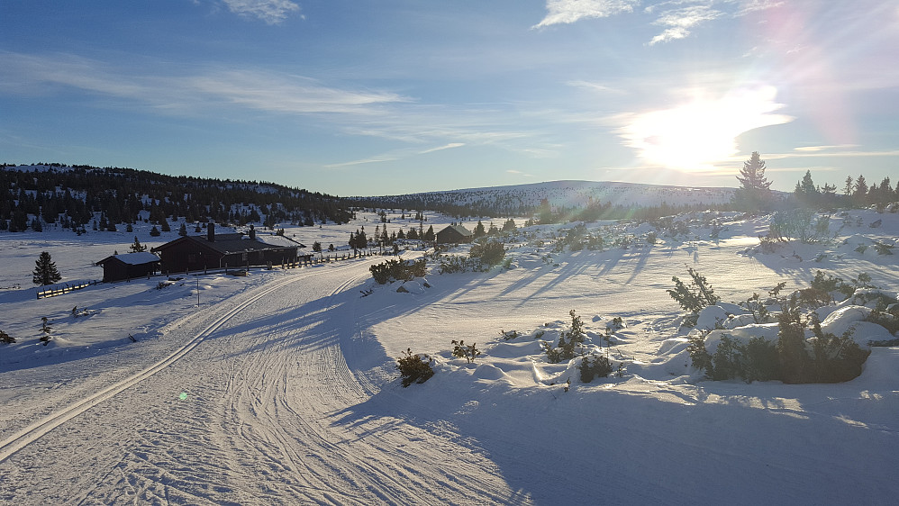 Har akkurat passert setrene på Gjestebodåsen