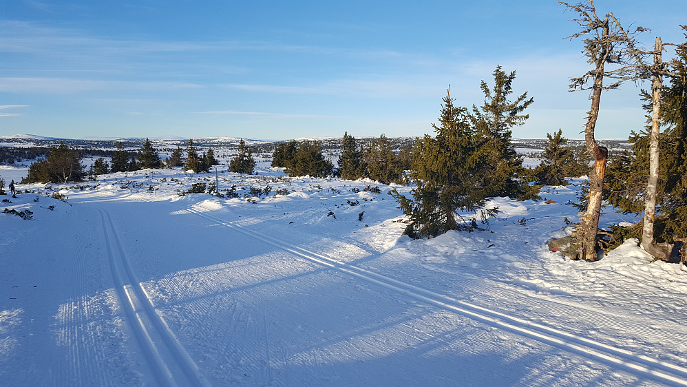 På høgeste punkt på løypa, Gjestebodåsen