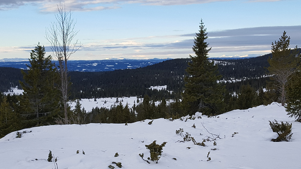 Oppe bakkene, ser mot Vestfjellet