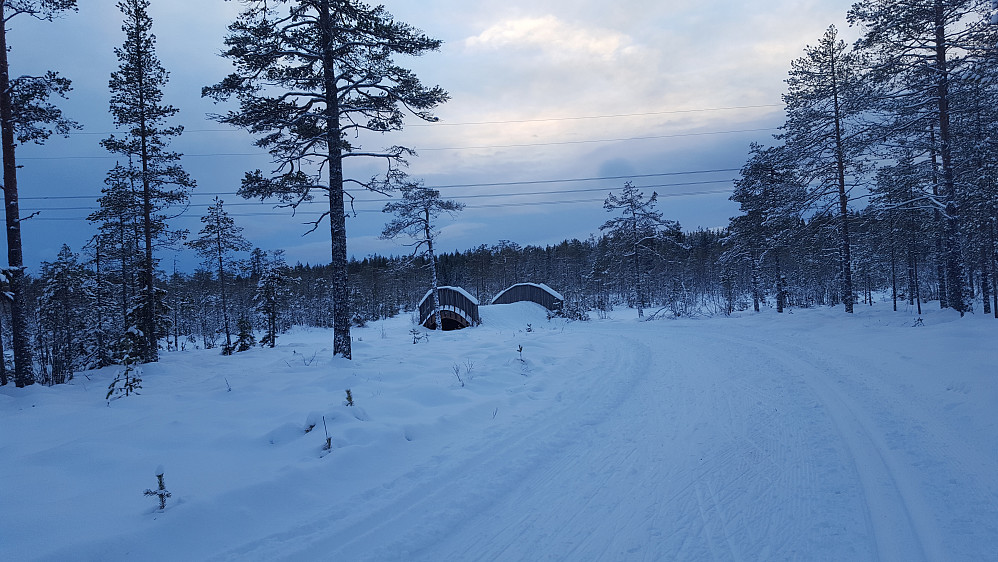 Ved Kubrua