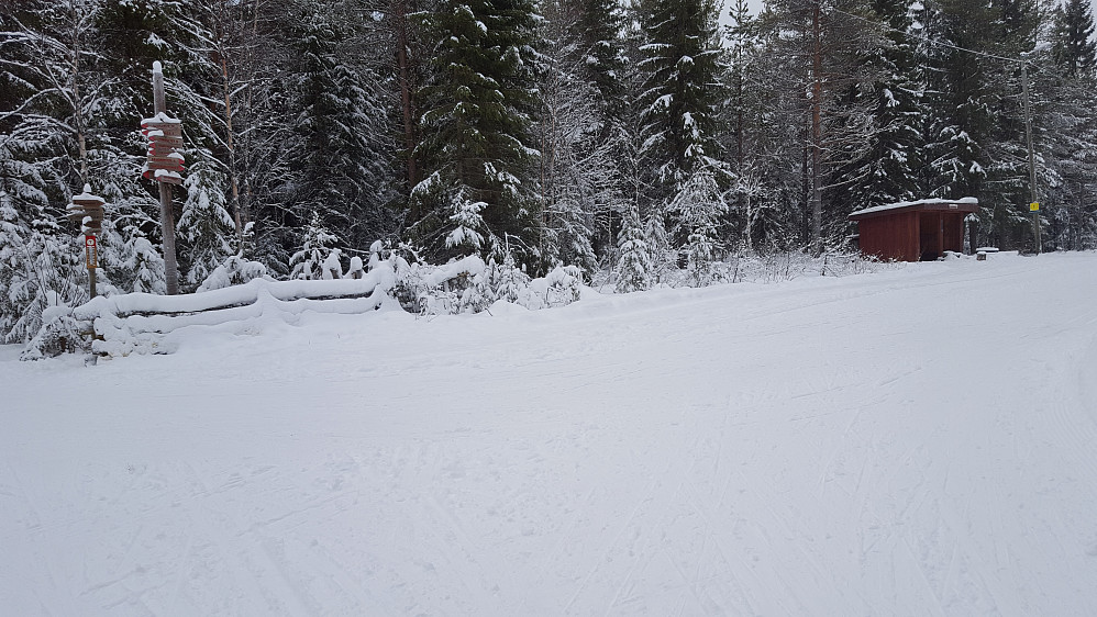 Ved Hammerkoia