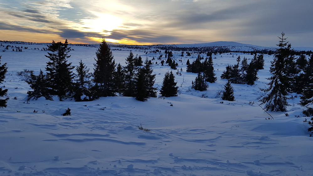 Fra Kriksvika mot Nevelfjell
