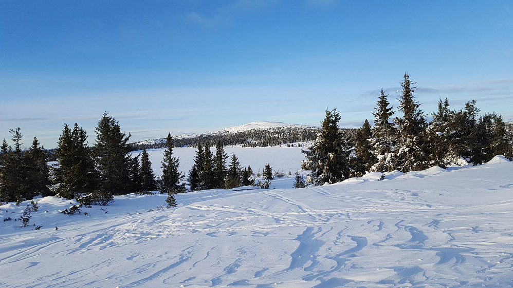 Nevelfjell, sett fra Reinavegen