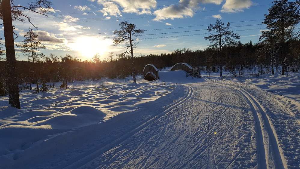 Ved Kubrua