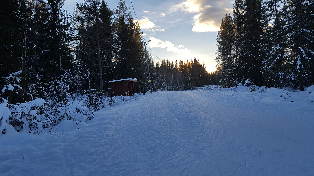 Ved Hammerkoia
