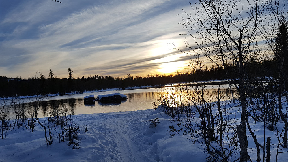 Ved Mesnaelva, Bottilflø
