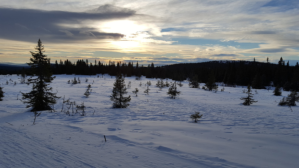 Mot Grøtåshaugen, løypa mot Nevelosen