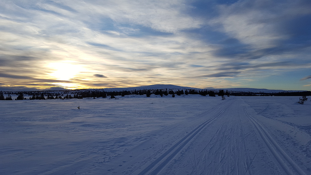 Nevelfjell, fra løypa mot Kriksvika