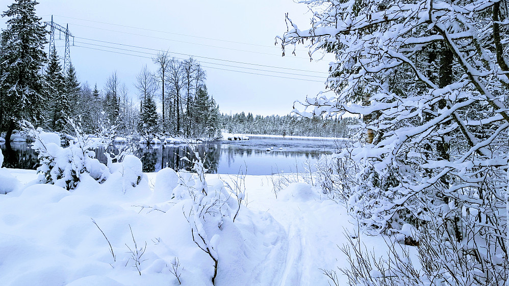 Mesnaelva, ved Birkebeinerløypa