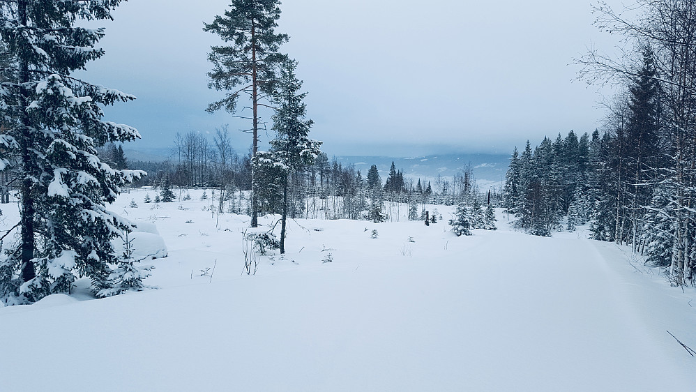 Ned fra Kanthaugen